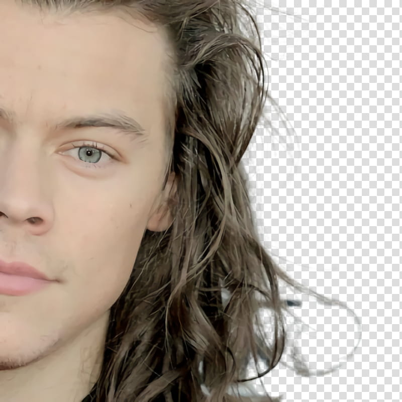 Hair, Harry Styles, Singer, One Direction, Long Hair, Hair Coloring, Eyelash, Eyebrow transparent background PNG clipart