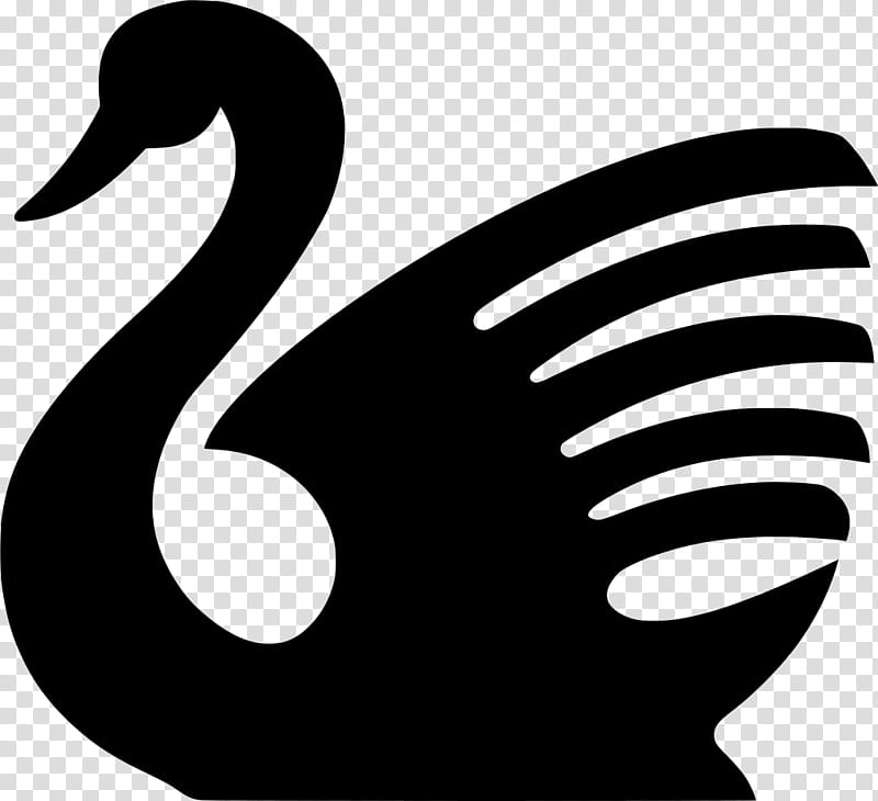 Bird Line Drawing, Silhouette, Black Swan, Line Art, Swans, Swan Princess, Ducks Geese And Swans, Water Bird transparent background PNG clipart