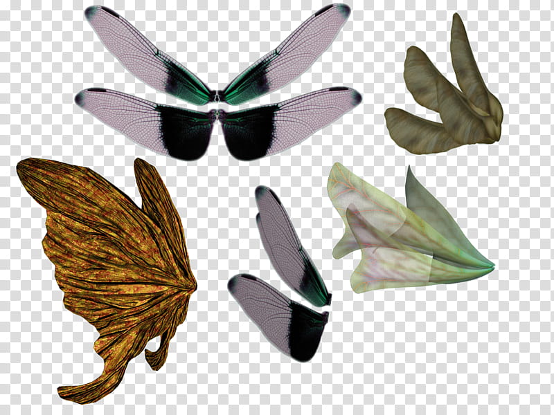 Wings Faery, insect wings art transparent background PNG clipart