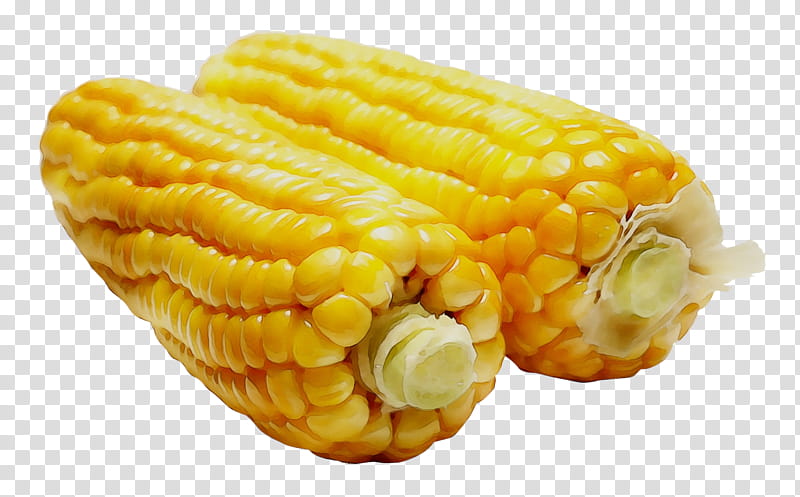 Golden, Corn, Sweet Corn, Seed, Golden Bantam, Corn Seed, Vegetable, Corn Kernel transparent background PNG clipart
