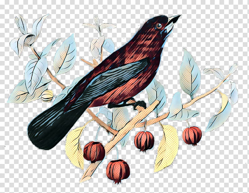 Cardinal Bird, Pop Art, Retro, Vintage, Parrot, Sparrow, Beak, Blanket transparent background PNG clipart