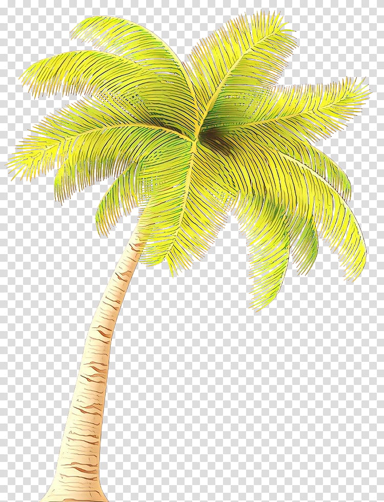 Palm tree, Cartoon, Arecales, Leaf, Plant, Woody Plant, Coconut, Elaeis transparent background PNG clipart