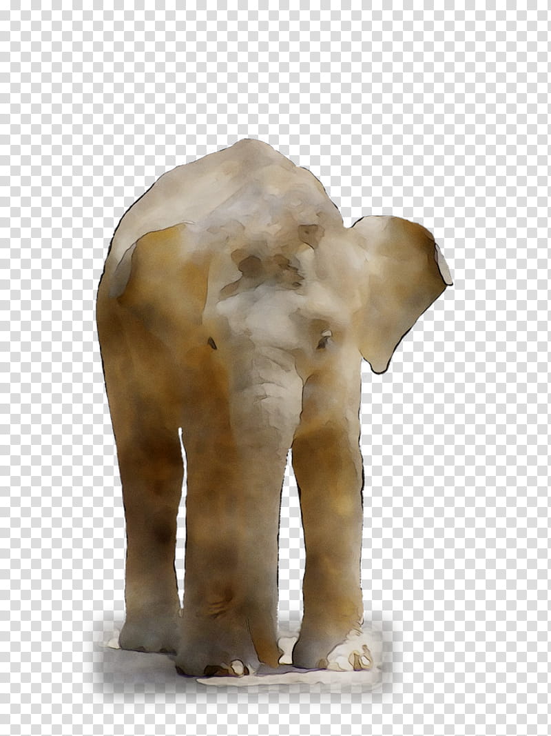 Elephant, Indian Elephant, African Elephant, Curtiss C46 Commando, Snout, Animal, Figurine, Animal Figure transparent background PNG clipart