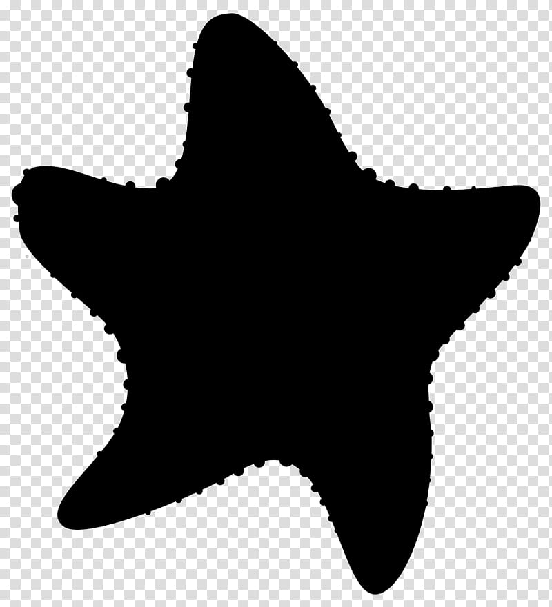 Star, Starfish, Silhouette transparent background PNG clipart