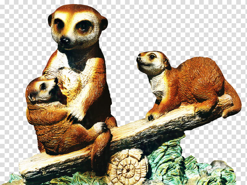 Animal, Meerkat, Mongoose, Wildlife, Adaptation, Animal Figure, Lemur, Animation transparent background PNG clipart