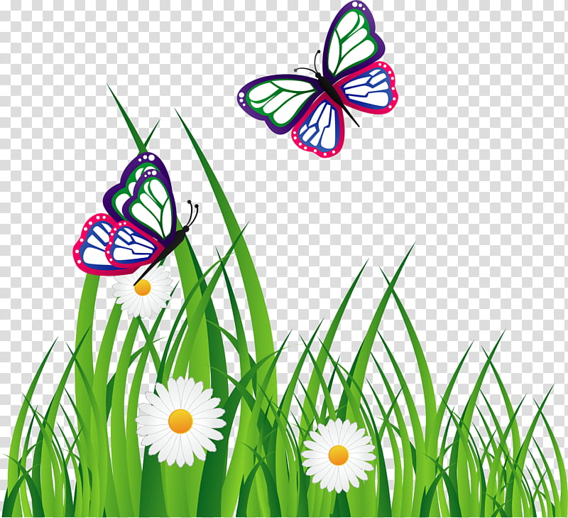 Flower Line Art, Butterfly, Grass, Plant, Insect, Moths And Butterflies, Grass Family, Pollinator transparent background PNG clipart