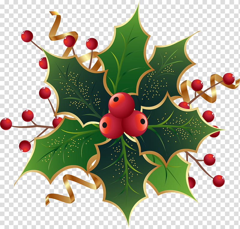 Christmas Decoration, Christmas Day, Common Holly, Mistletoe, Christmas Tree, American Holly, Leaf, Plant transparent background PNG clipart