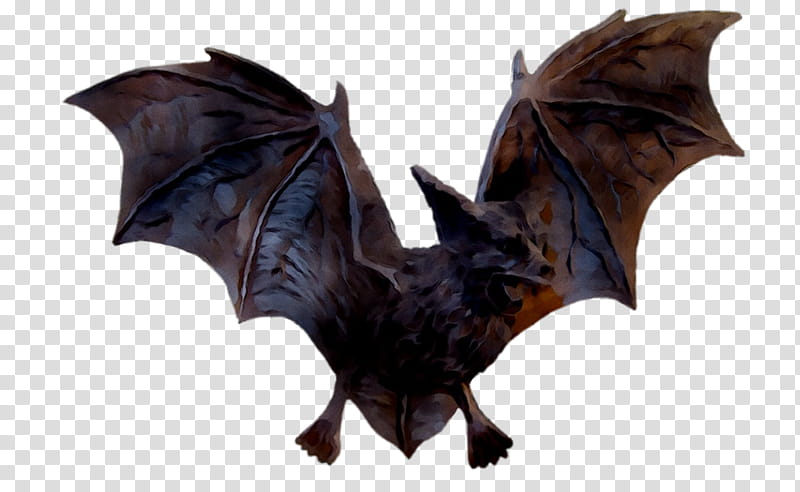 Bat, Batm, Dragon, Sculpture, Little Brown Myotis, Vampire Bat, Wing transparent background PNG clipart