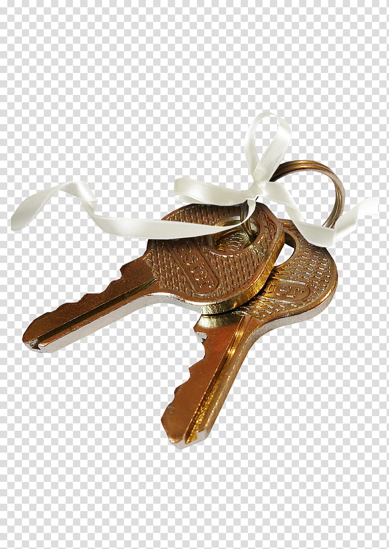 two gold keys transparent background PNG clipart