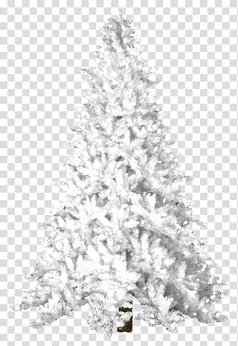 Christmas Black And White, Christmas Tree, Christmas Day, Spruce, , , Artificial Christmas Tree, Fir transparent background PNG clipart