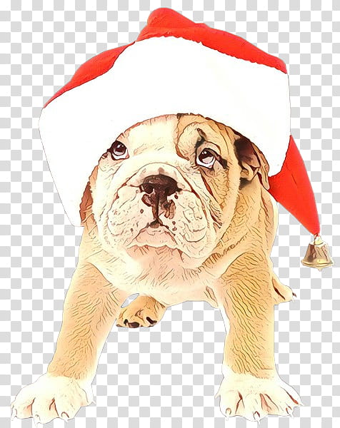 Christmas Santa Claus, Bulldog, Puppy, Toy Bulldog, French Bulldog, Old English Bulldog, Olde English Bulldogge, Christmas Day transparent background PNG clipart