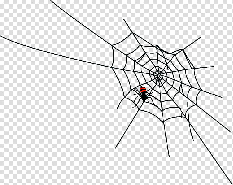 spider web halloween, Halloween , White, Line, Arachnid, Symmetry, Diagram, Harvestmen transparent background PNG clipart