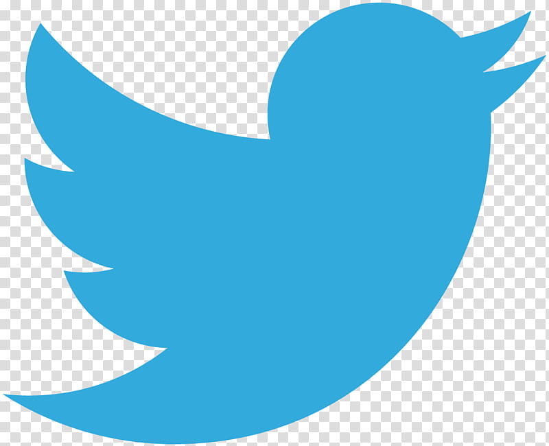 Twitter logo PNG transparent image download, size: 400x400px