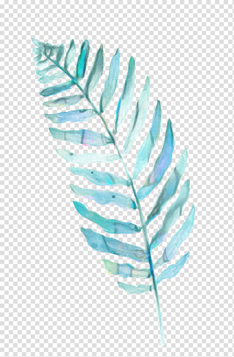 Green Leaf Watercolor, Watercolor Painting, Blue, Fern, Frond, Line Art, Feather, Turquoise transparent background PNG clipart