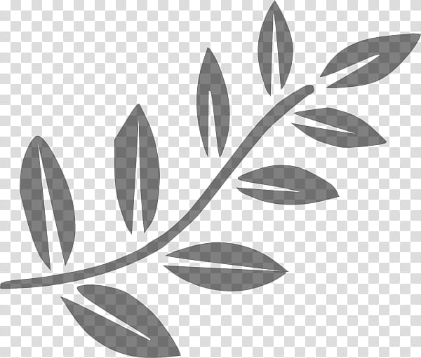 Olive Tree Drawing, Branch, Tree Fern, Leaf, Silhouette, Olive Branch, Bay Laurel, Line Art transparent background PNG clipart