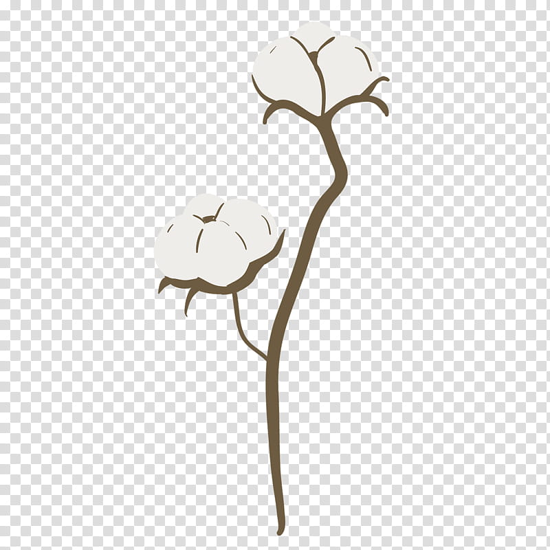 Leaf Branch, Cotton, Plant, Plant Stem, Flower, Petal transparent background PNG clipart