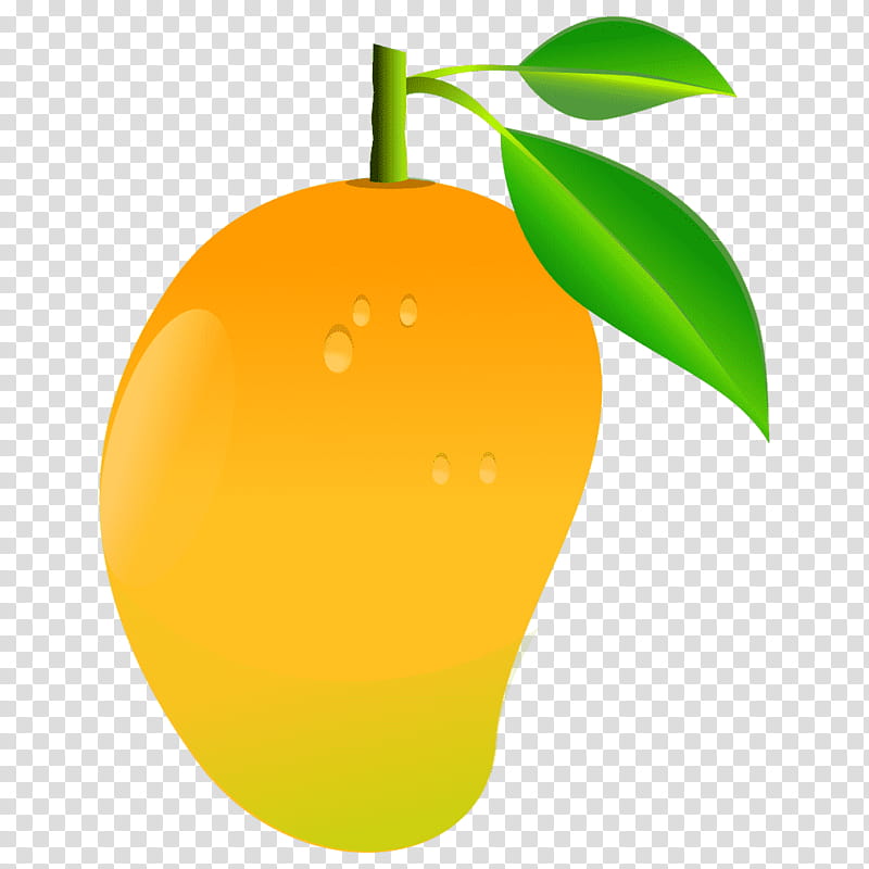 Mango Leaf, Mangifera Indica, Fruit, Silhouette, Yellow, Orange, Plant, Citrus transparent background PNG clipart
