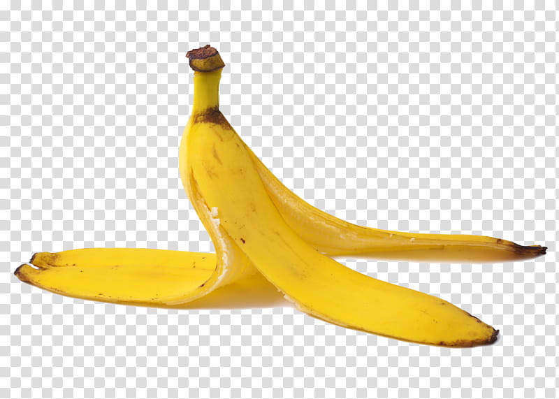Banana Peel, , Royaltyfree, Fruit, Banana Family, Yellow, Plant, Cooking Plantain transparent background PNG clipart