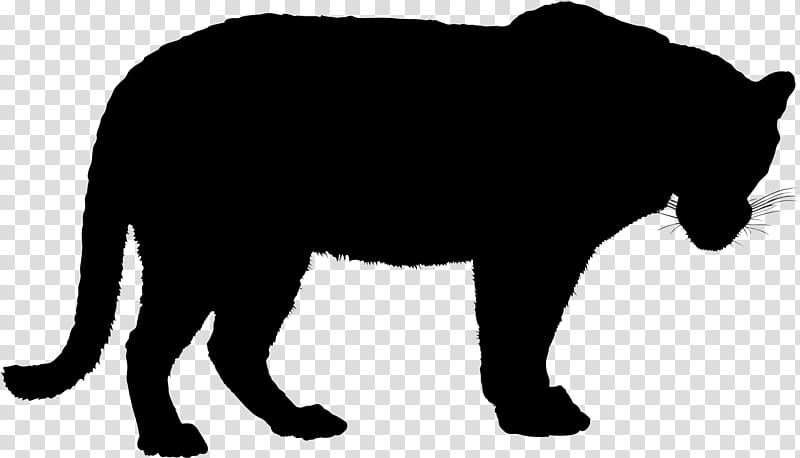 Tiger, Jaguar, Silhouette, Black Tiger, Roar, White Tiger, Snout, Animal Figure transparent background PNG clipart