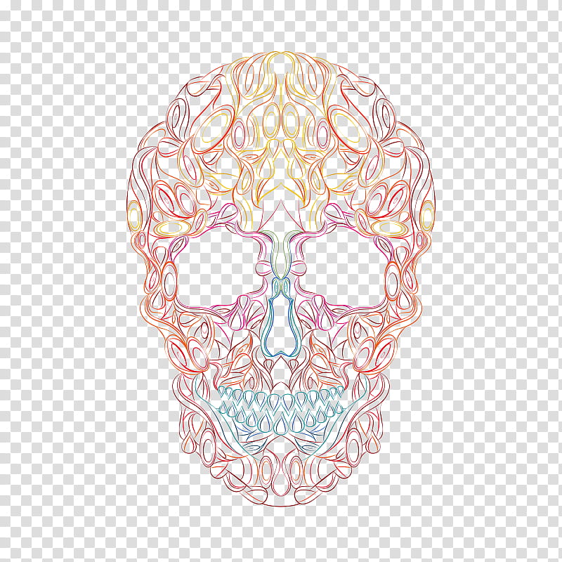 Skull Drawing, Pink M, Jaw, Face, Head, Facial Hair, Bone, Beard transparent background PNG clipart