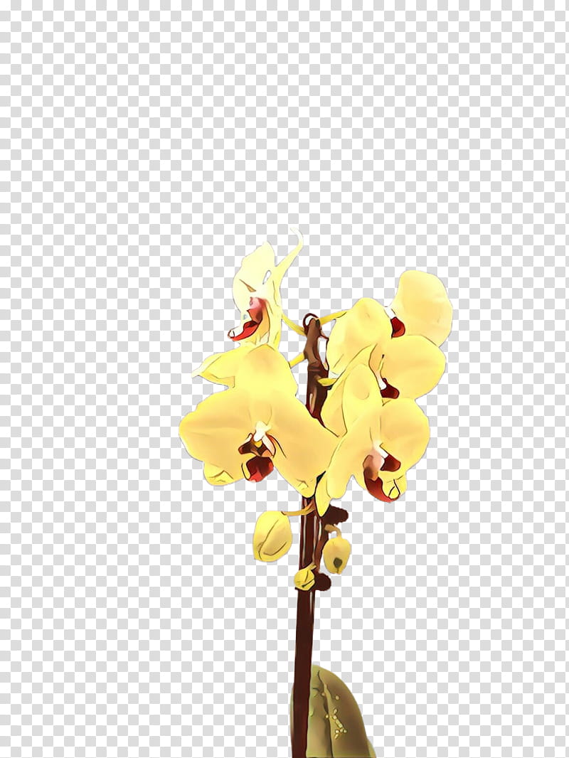 Artificial flower, Yellow, Plant, Cut Flowers, Moth Orchid, Branch, Petal transparent background PNG clipart