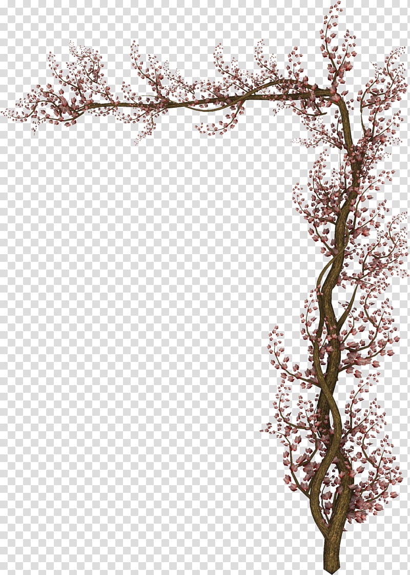 Creepers n Vines, pink and black vines in white background transparent background PNG clipart