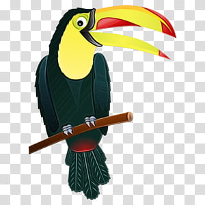 toucan bird beak hornbill piciformes, Watercolor, Paint, Wet Ink, Coraciiformes transparent background PNG clipart thumbnail