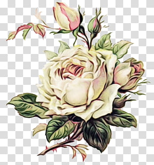 Bouquet Of Flowers Drawing, Watercolor, Paint, Wet Ink, Rose, Floral Design, Vintage Clothing, Flower Bouquet transparent background PNG clipart thumbnail