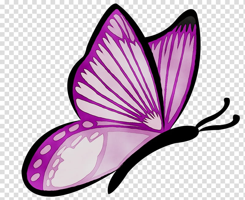 Leaf, Monarch Butterfly, Brushfooted Butterflies, Adobe After Effects, Animation, Filmmaking, Lepidoptera, Violet transparent background PNG clipart