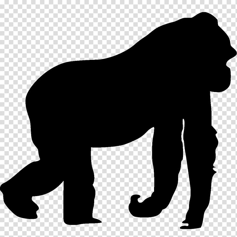 Cat Silhouette, Gorilla, Killing Of Harambe, Car, Animal, Cartoon, Ape, Sticker transparent background PNG clipart