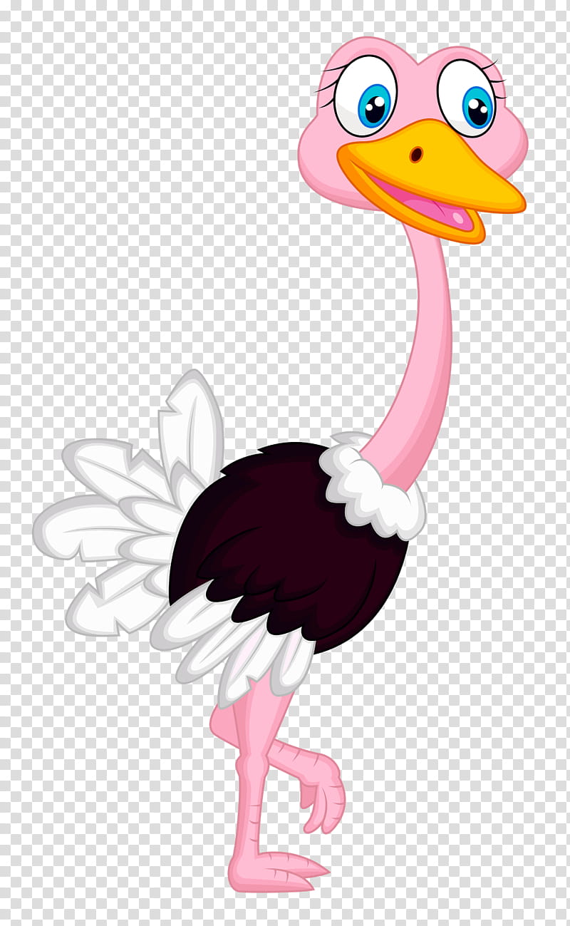 Bird, Common Ostrich, Drawing, Cartoon, Flightless Bird, Pink, Beak, Ratite transparent background PNG clipart