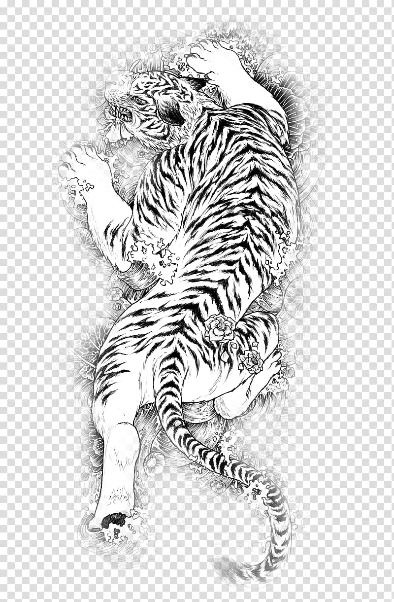 Tiger Drawing s, tiger illustration transparent background PNG clipart