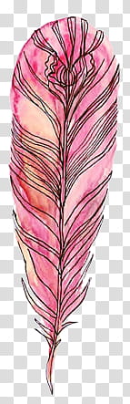 pink animal feather illustration transparent background PNG clipart