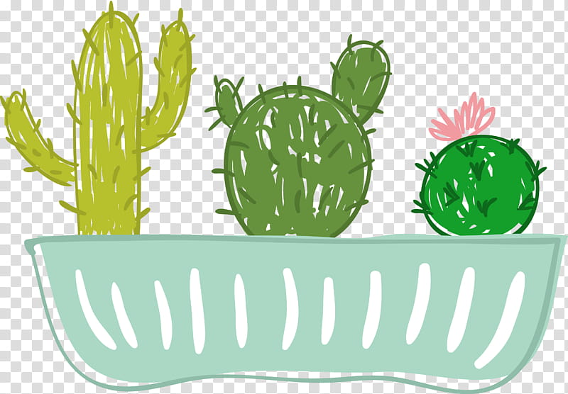 Green Grass, Cactus, Drawing, Flowerpot, Penjing, Plants, Succulent Plant, Cartoon transparent background PNG clipart