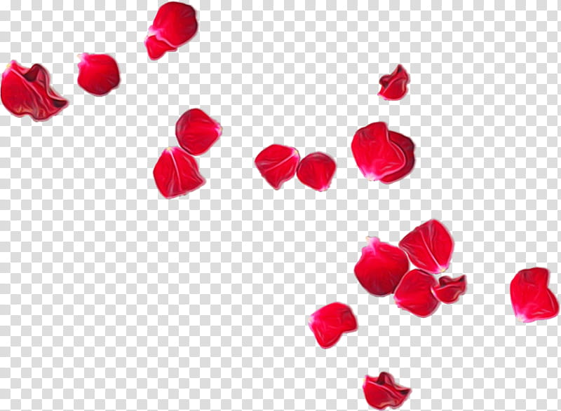 Love Background Heart, Petal, Rose, Flower, Garden Roses, Pink, Red, Red Rose Of Lancaster transparent background PNG clipart