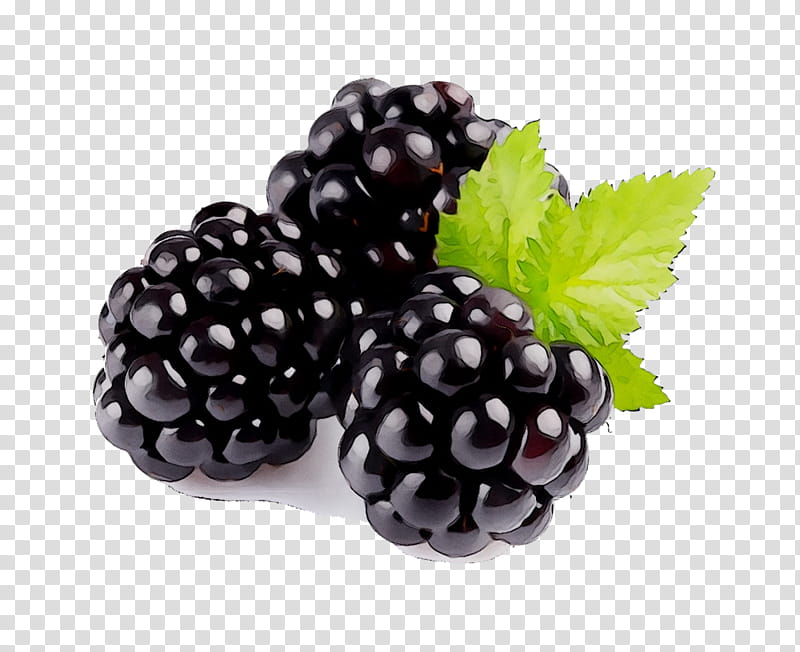 Grape, Bavarian Cream, Fragrance Oil, Flavor, Blackberry, Boysenberry, Loganberry, Fruit transparent background PNG clipart