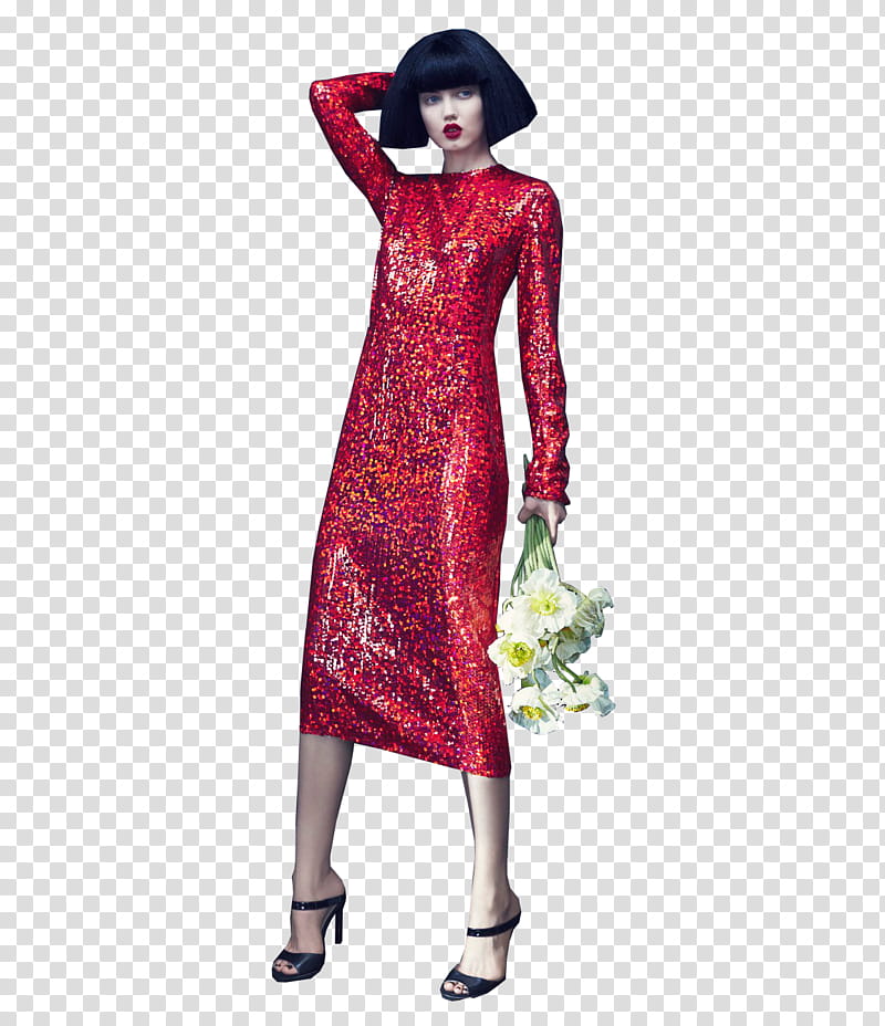 Lindsey Wixson,  transparent background PNG clipart