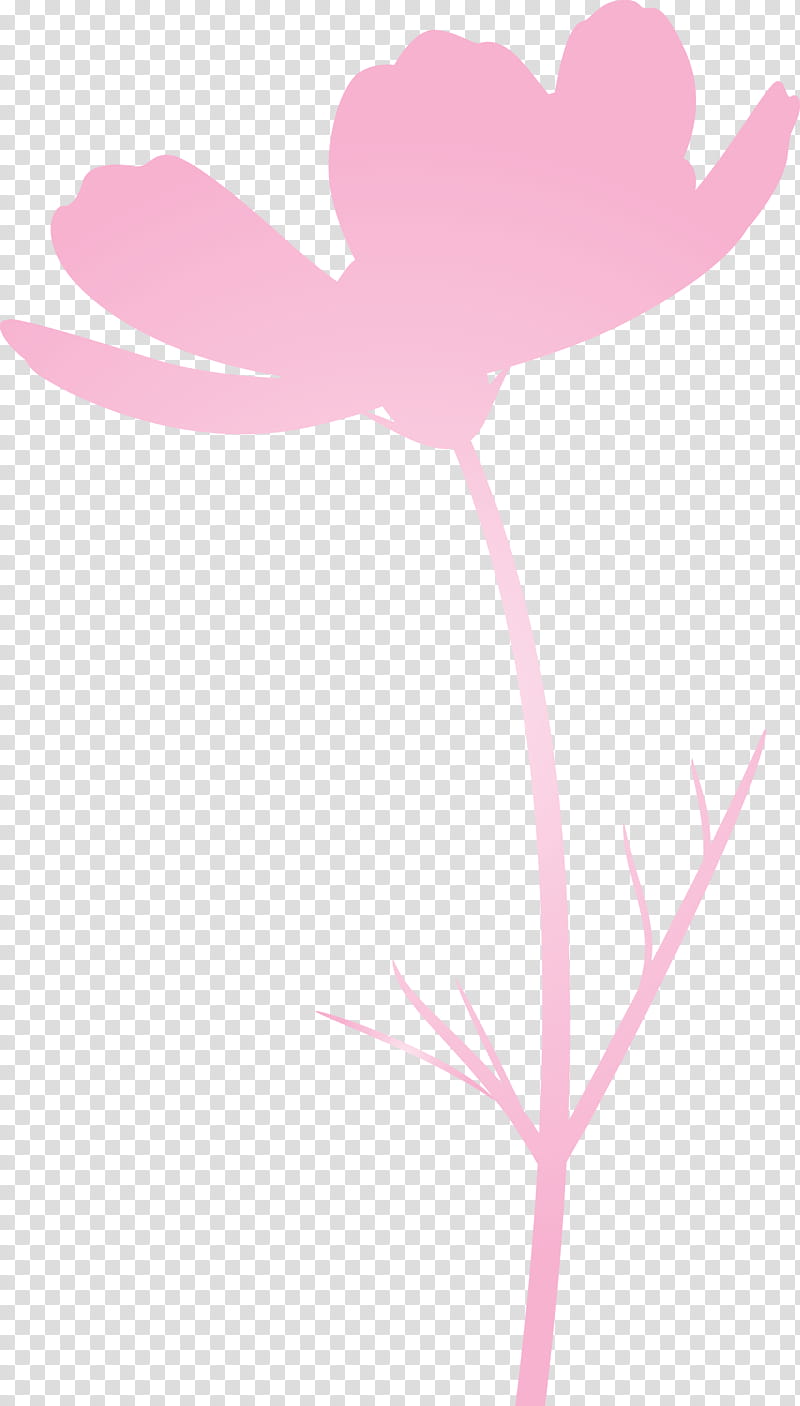 spring flower spring floral pink floral, Pink Flower, Pedicel, Plant, Plant Stem, Feather, Water Bird, Magenta transparent background PNG clipart