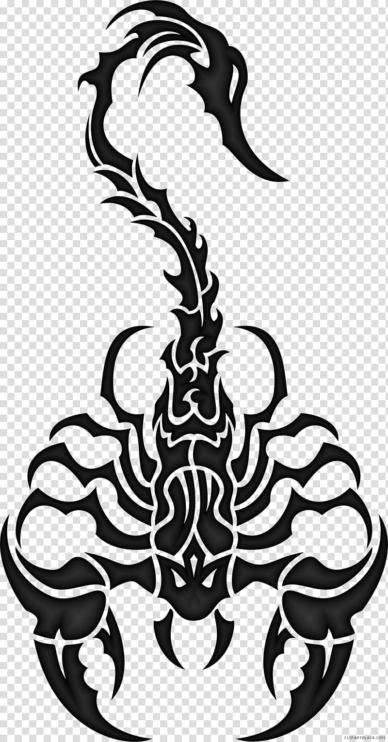 Scorpion Black And White, Drawing, Black And White
, Line Art transparent background PNG clipart