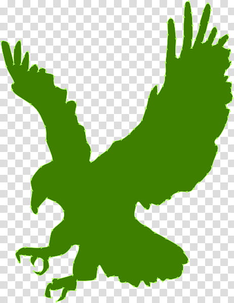 Bird Line Drawing, Bald Eagle, Silhouette, Golden Eagle, Line Art, Visual Arts, Green, Leaf transparent background PNG clipart