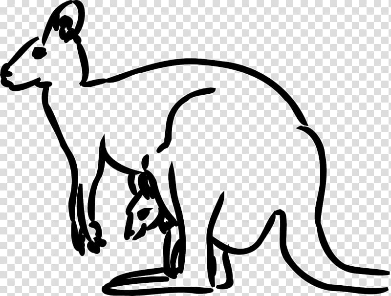 Kangaroo, Drawing, Silhouette, Wallaby, White, Line Art, Wildlife, Tail transparent background PNG clipart
