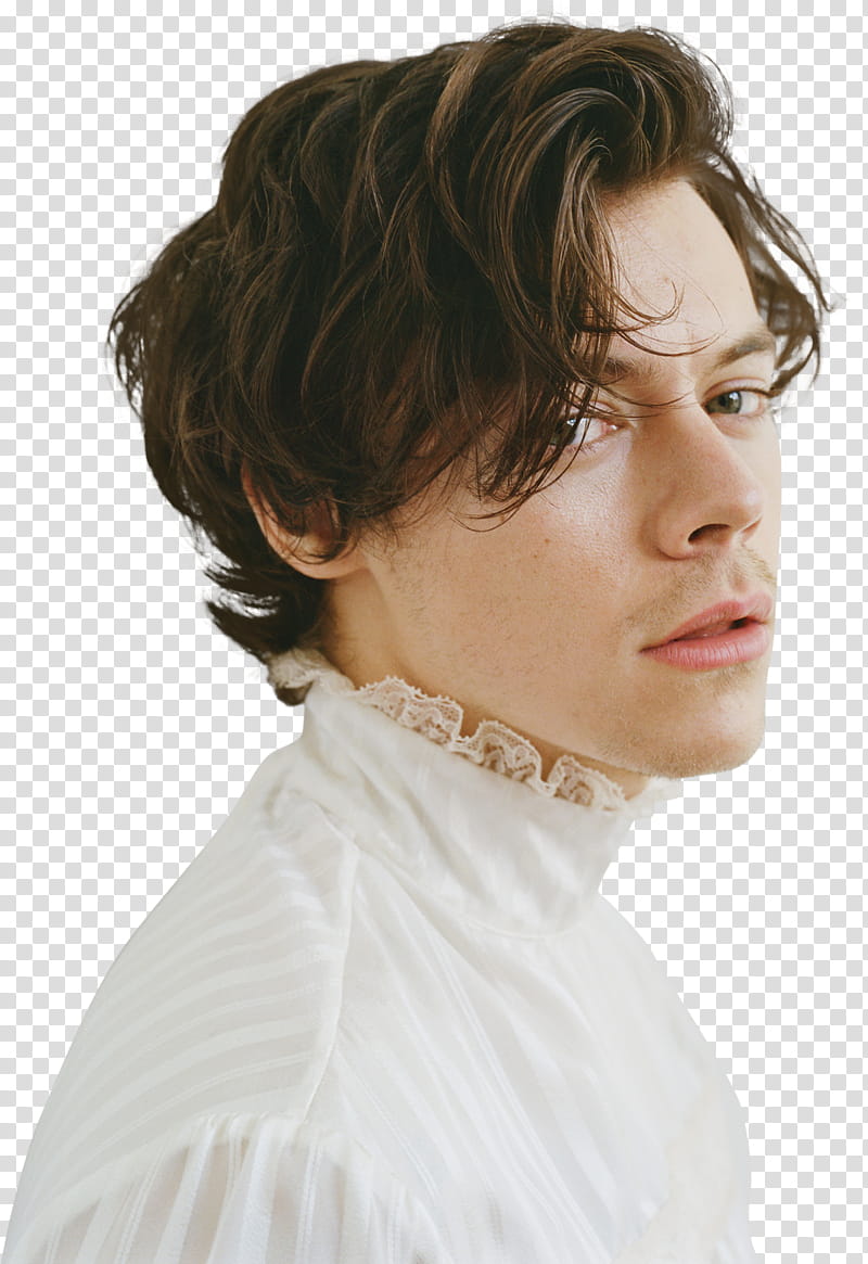 PACK  HARRY STYLES, HS CCE () icon transparent background PNG clipart