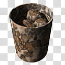 Leo Tiger Trash Windows, Leopard Rock Inside x transparent background PNG clipart