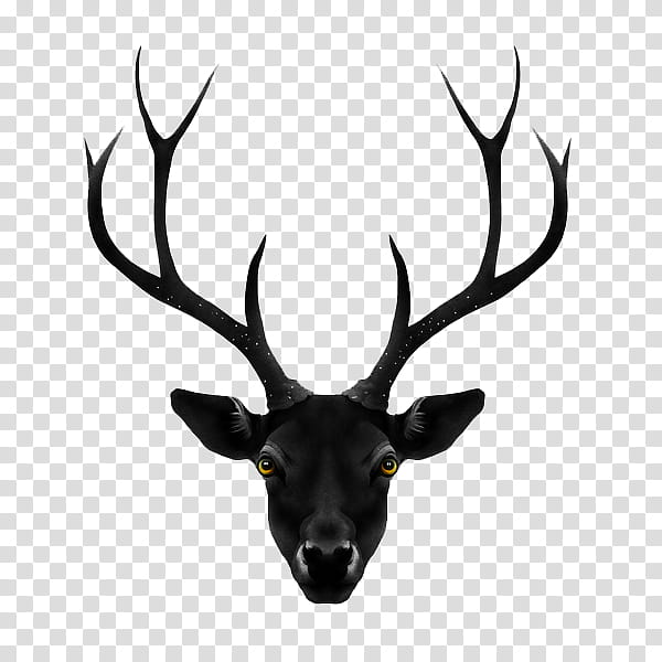 Poster, Canvas Print, Black Deer, Printing, Artist, Art Museum, Horn, Antler transparent background PNG clipart