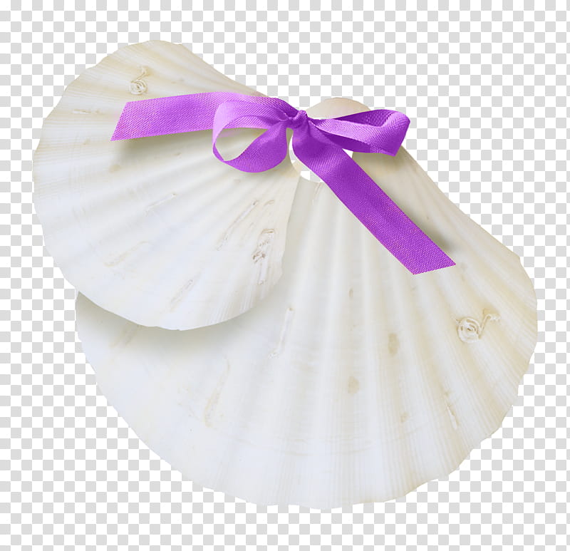 Beach, Seashell, White, Sea Snail, Conch, Mollusc Shell, Pearl, Pink transparent background PNG clipart