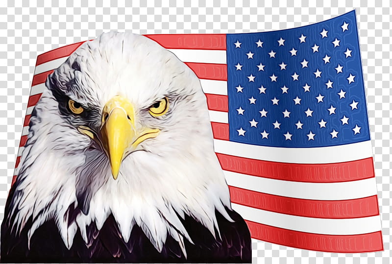 Veterans Day Usa Flag, Fourth Of July, 4th Of July, Independence Day, American Flag, Eagle, Flag Of The United States, United States Declaration Of Independence transparent background PNG clipart