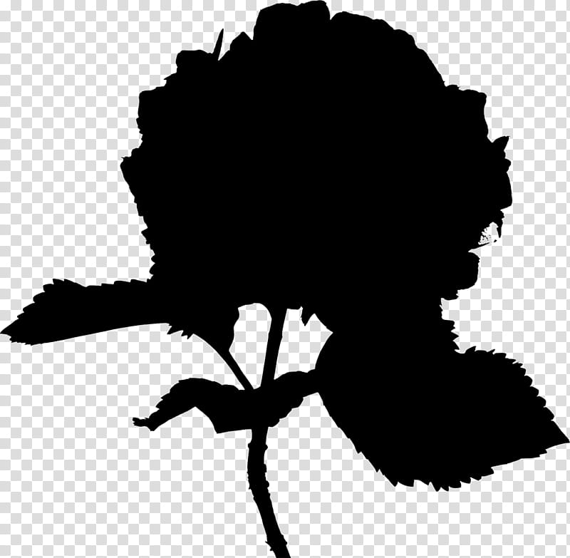 Silhouette Tree, French Hydrangea, Flower, Plants, Chomikujpl, Blackandwhite transparent background PNG clipart