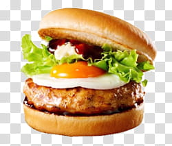 patty with egg and bun transparent background PNG clipart