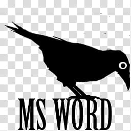MysticCrow dock icons, WORD, silhouette Ms Word crow icon transparent background PNG clipart