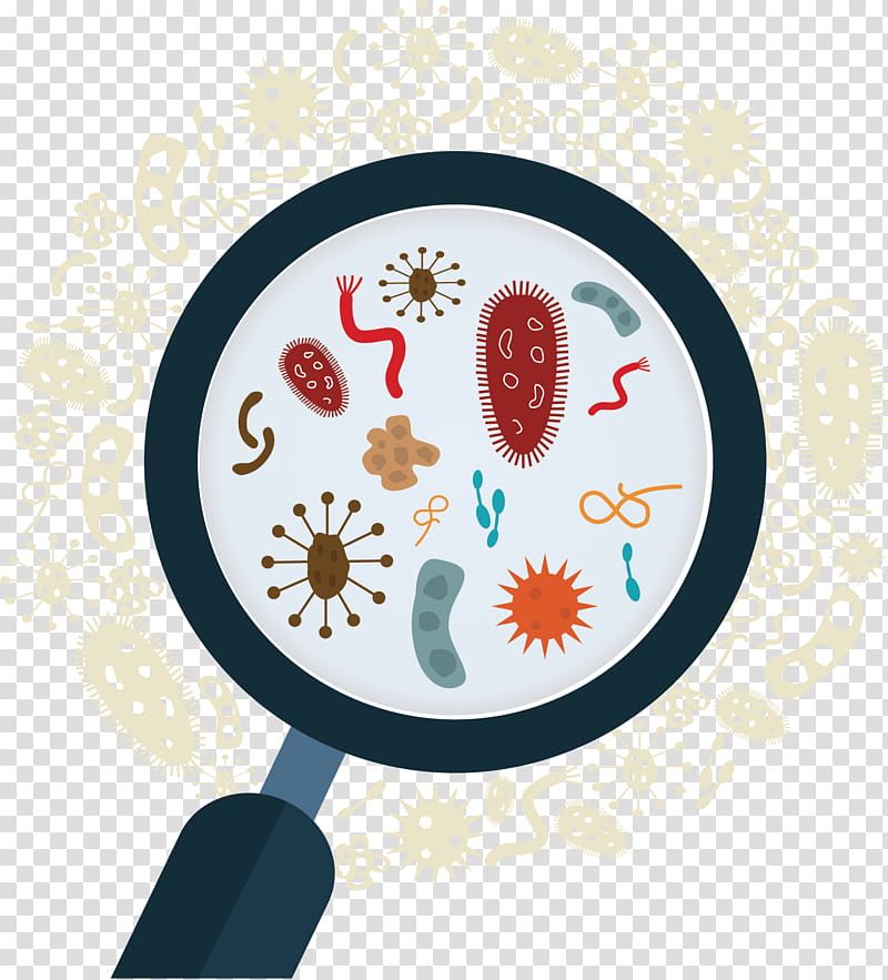 Bacteria, Microorganism, Virus, Anthrax Bacterium, Visual Arts transparent background PNG clipart